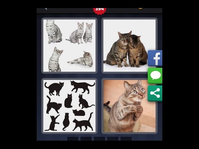 4 fotos 1 palabra 394