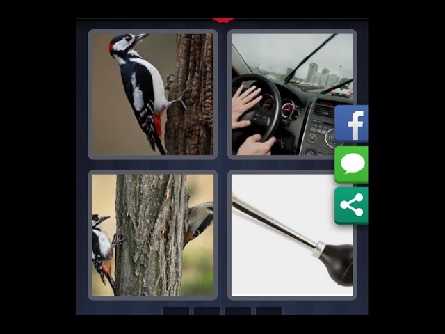 4 fotos 1 palabra nivel 103