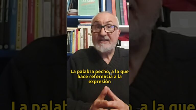 a lo hecho pecho significado