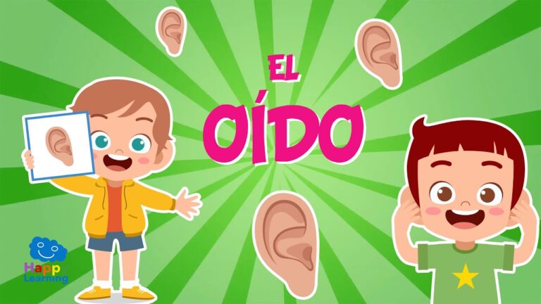 actividad del sentido del oido