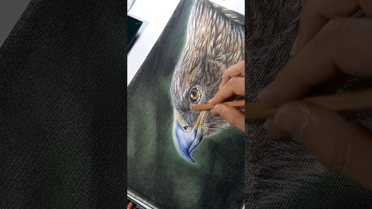 aguila para imprimir a color