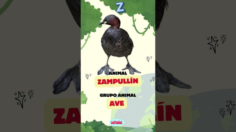 animales que empiezen con la letra z