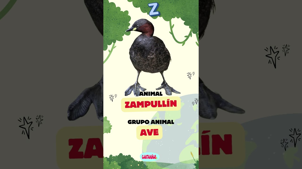 animales que empiezen con la letra z