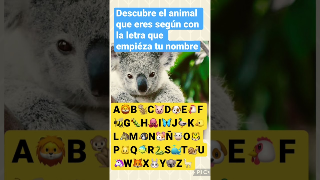 animales que terminen con o