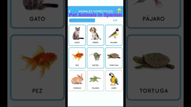 animales y alimentos que empiecen con la misma letra