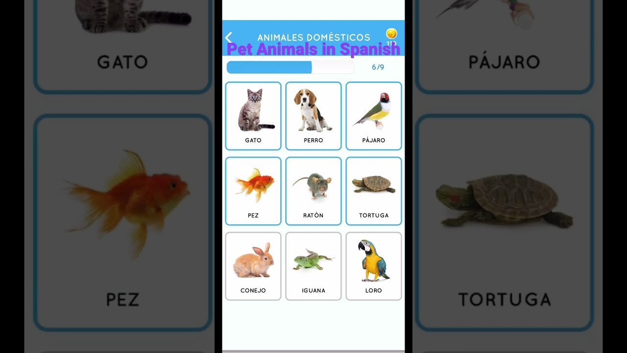 animales y alimentos que empiecen con la misma letra