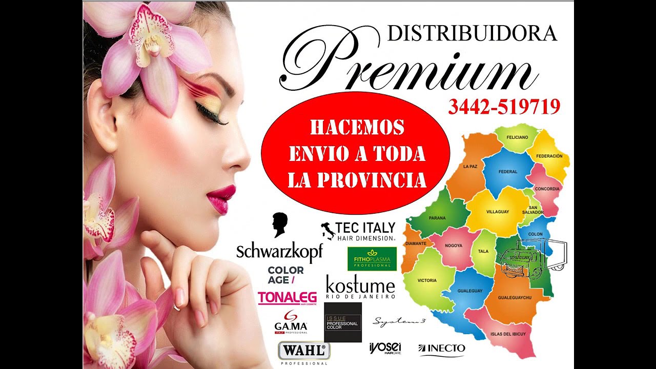 carta de colores issue professional