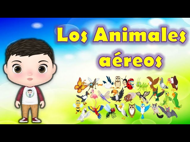 clasificacion de los animales aereos
