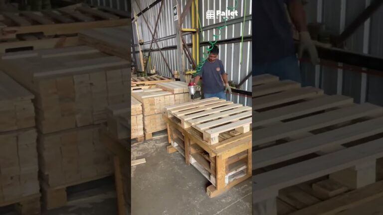 como se escribe palet o pallet