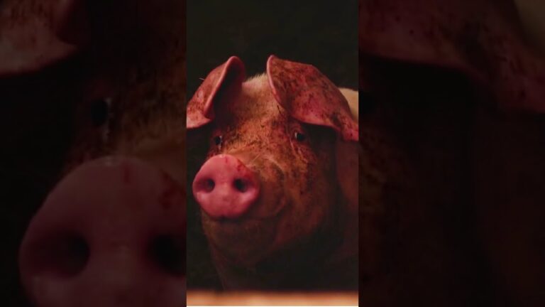 como se llama el sonido que hacen los cerdos