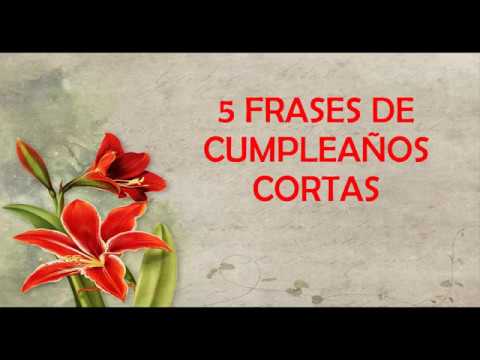 cortas frases para felicitar a tu pareja