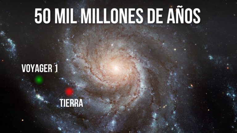 de donde es el 1