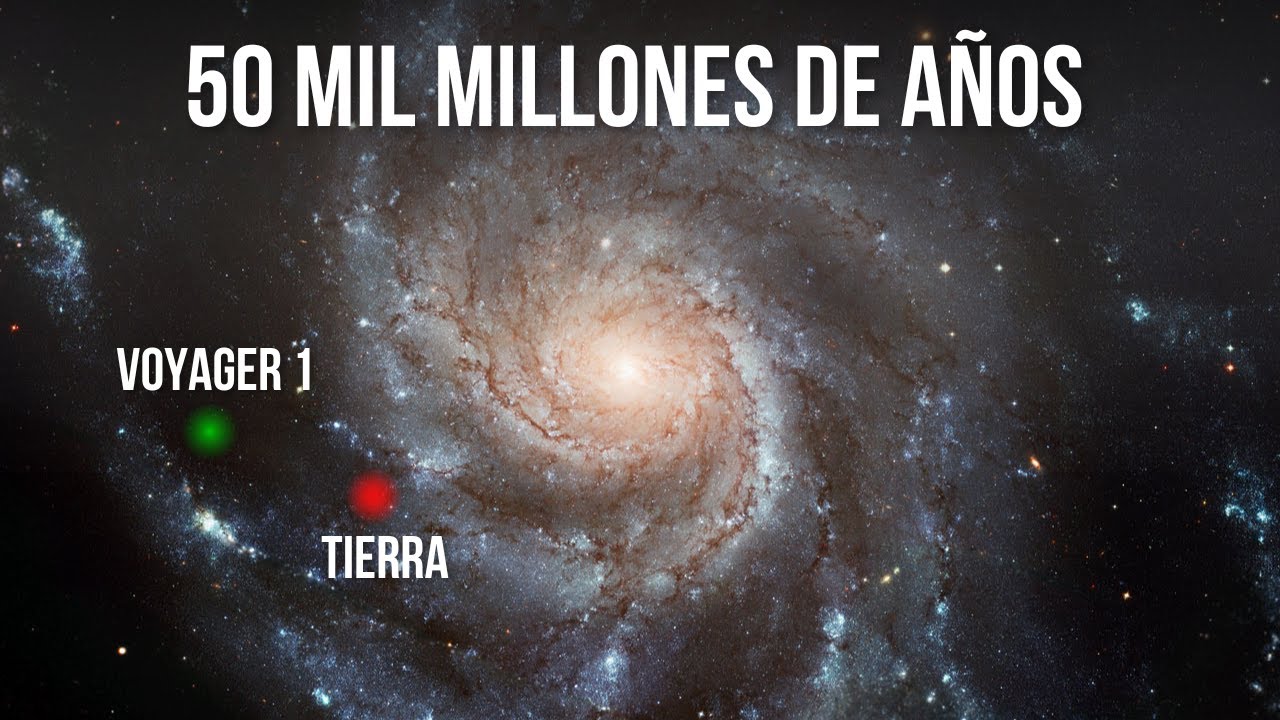 de donde es el 1