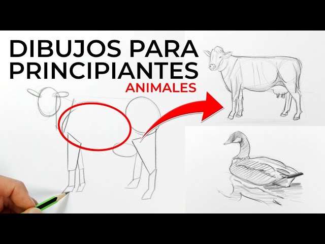 dibujos a lápiz de animales salvajes