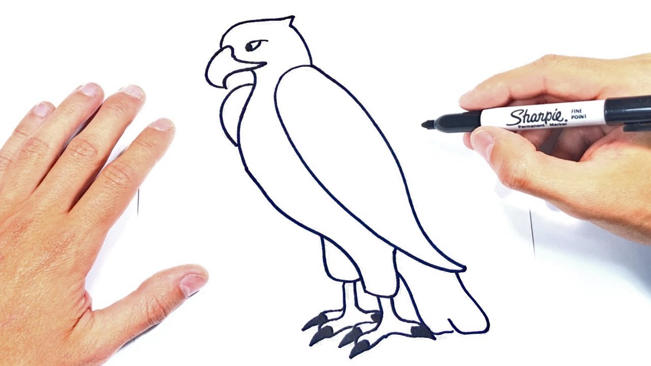 dibujos de aguilas para niños
