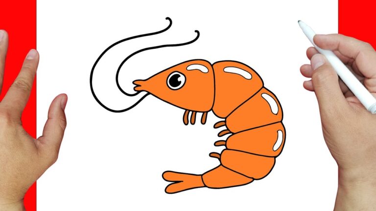 dibujos de camarones para imprimir