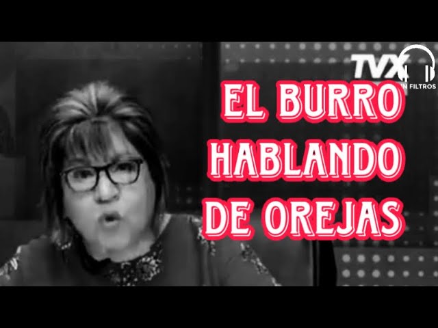 el burro hablando de orejas significado