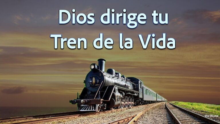 el tren de la vida frases