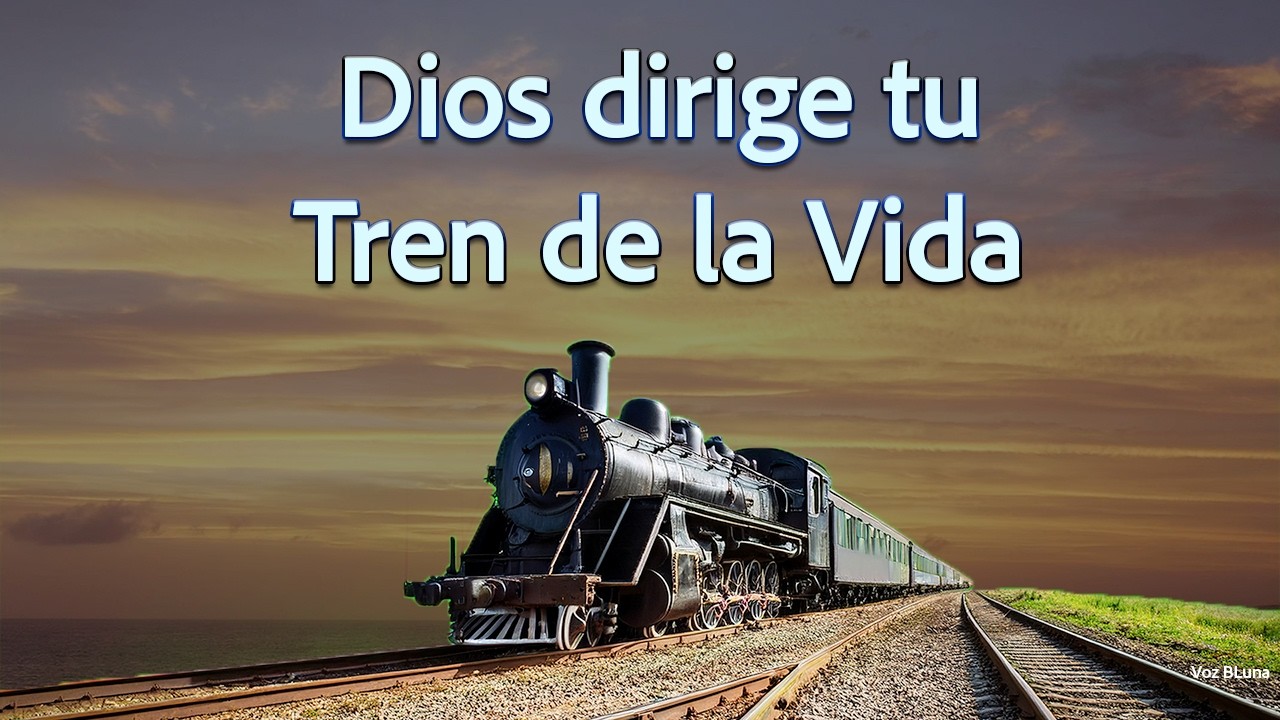 el tren de la vida frases