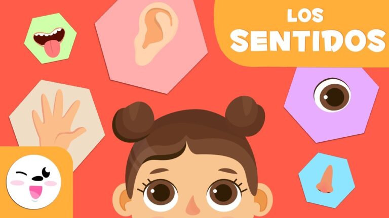 esquema de los 5 sentidos