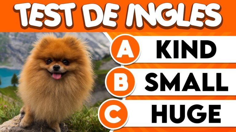 examen de adjetivos en ingles
