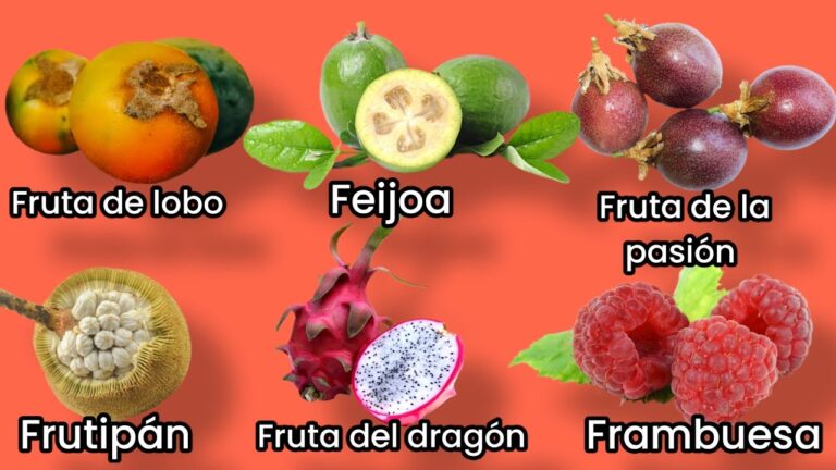 flor o fruto con la letra f