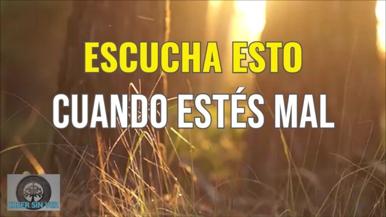 frases de estado de animo