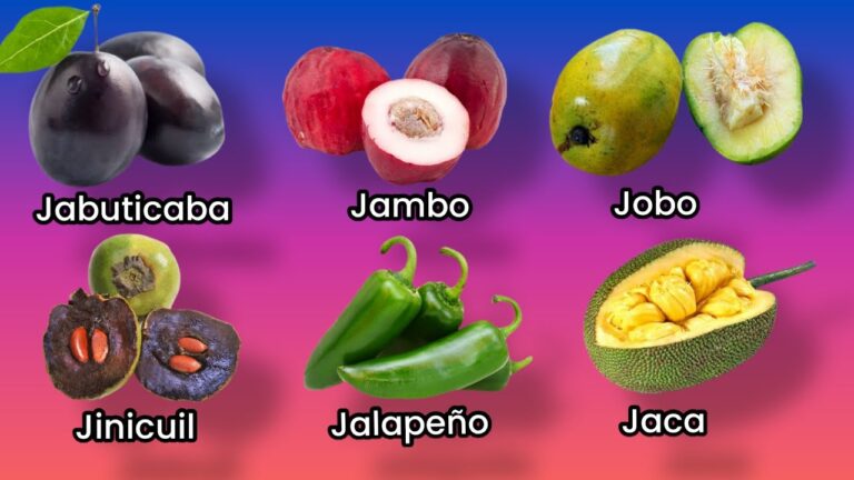 fruta con j en español