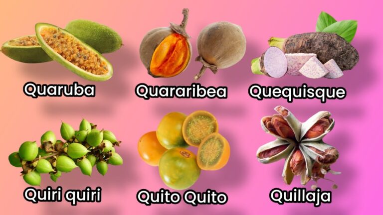 fruta con la letra q