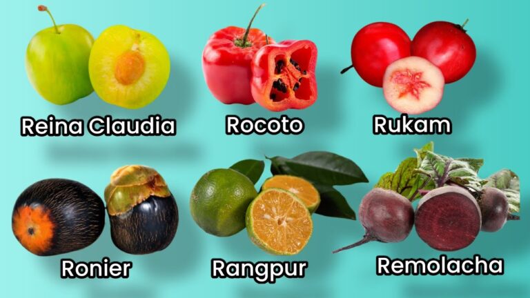 fruta que empiece con r