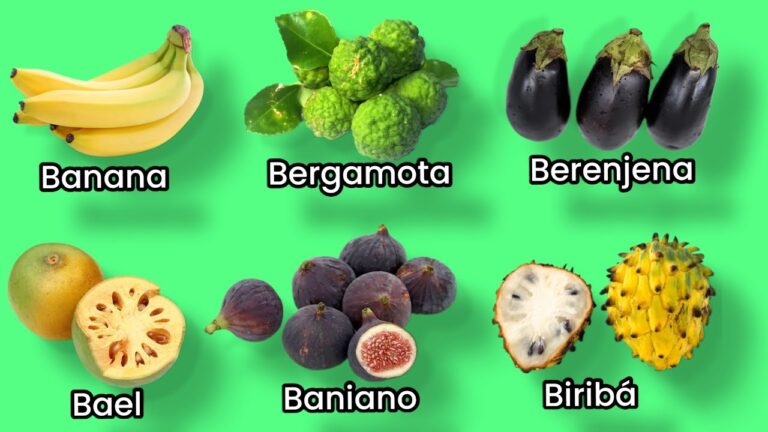 frutas con la letra b