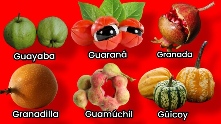 frutas con la letra g