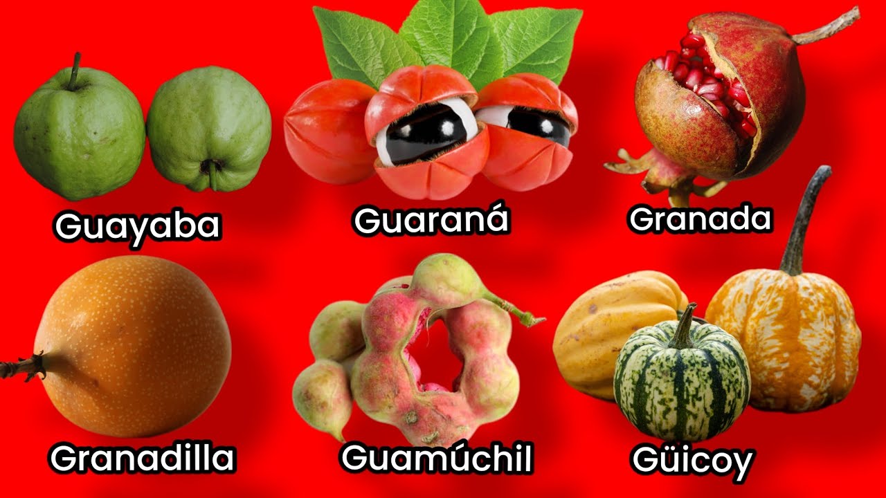 frutas con la letra g