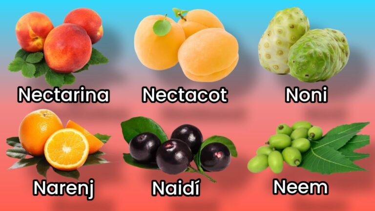 frutas con la letra n