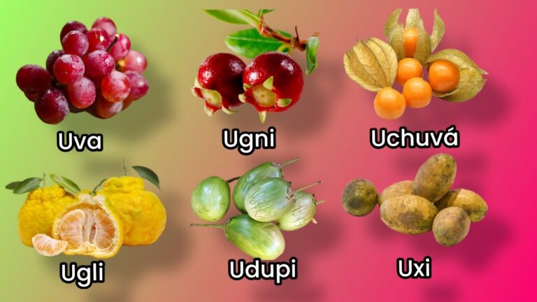 frutas con la letra u