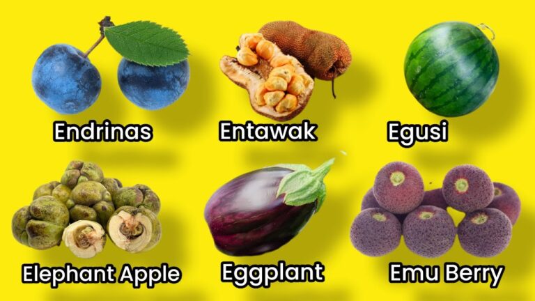 frutas que empiecen con la letra e