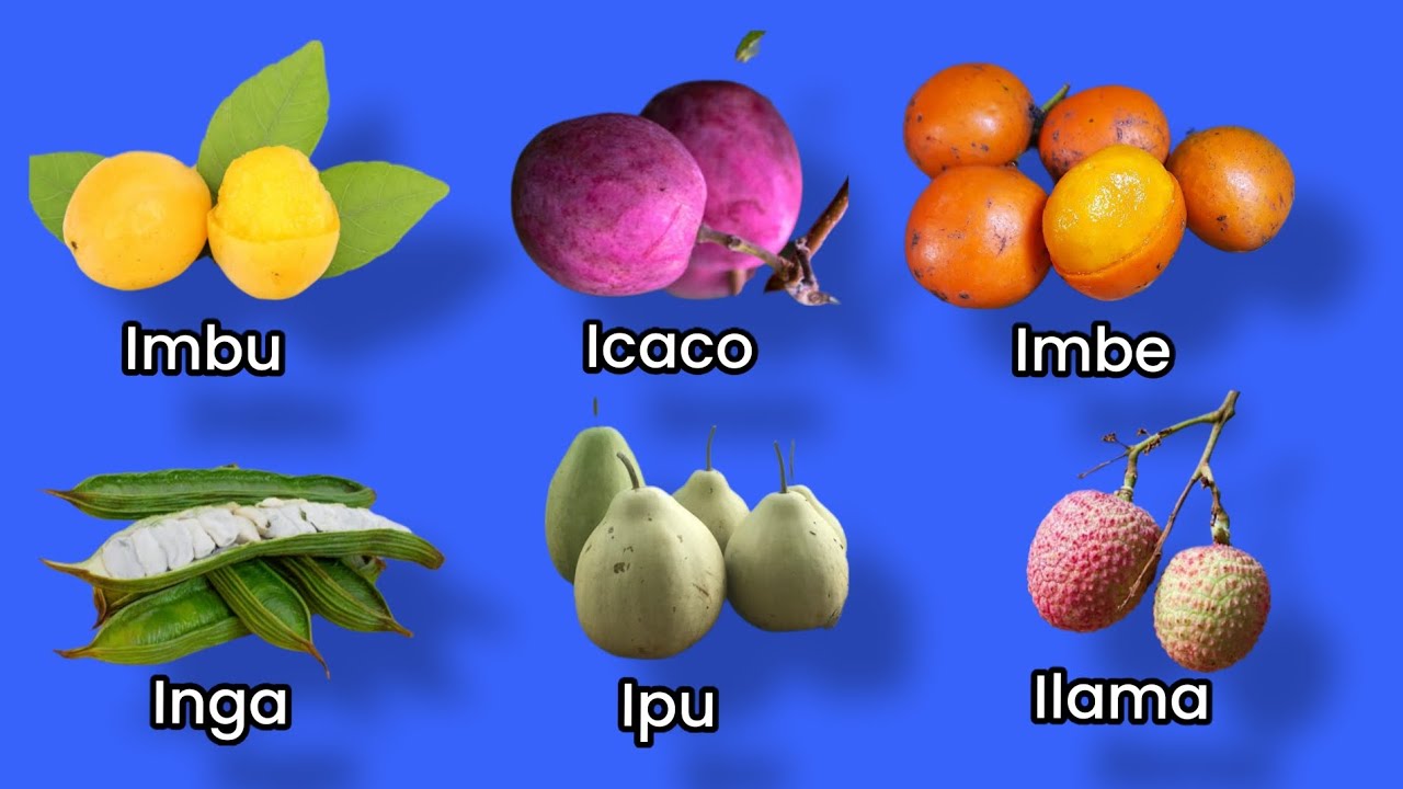 frutas que empiecen con la letra i
