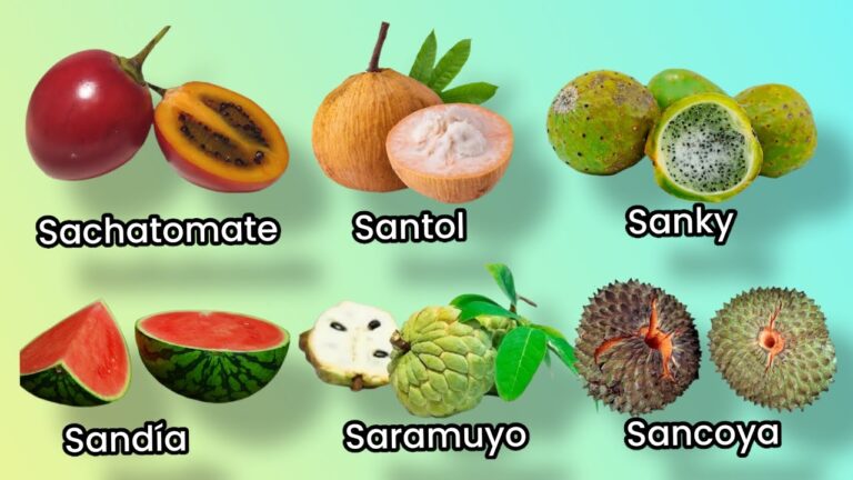 frutas que empiezan por s