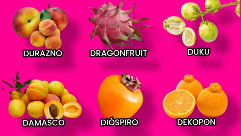 frutas y verduras que empiecen con d