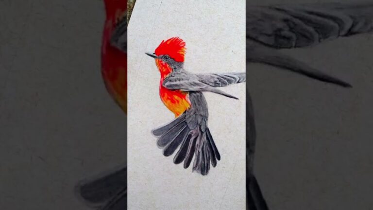 imagen de pajaro para imprimir