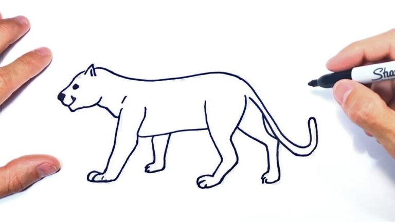 imagen de puma para dibujar