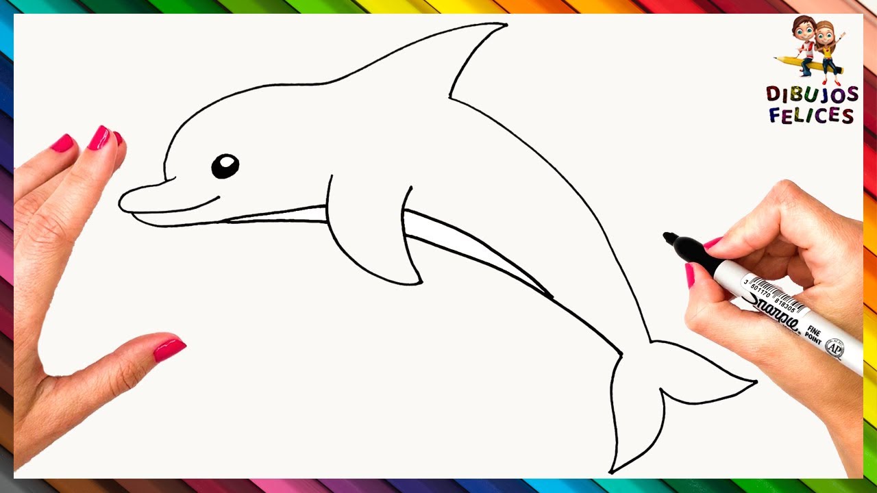 imágenes de un delfín para dibujar