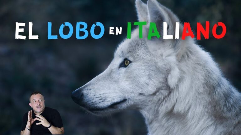 in bocca al lupo significado