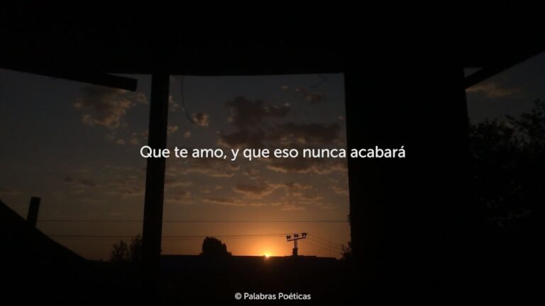 in this shirt letra español