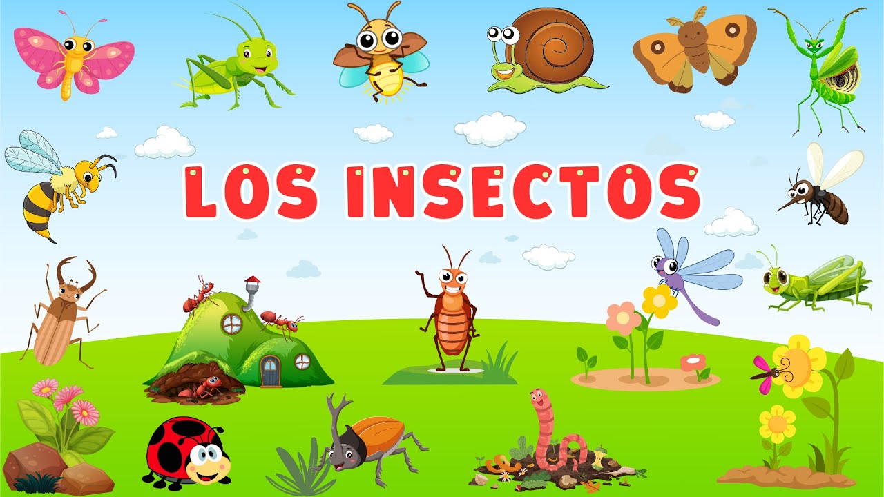 insectos con la letra u