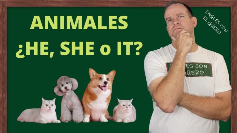 it se usa para animales