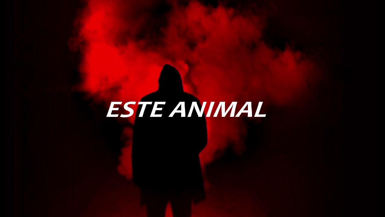 letra traducida de animal i have become