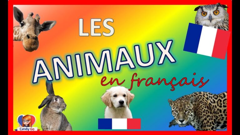 lista de animales en frances