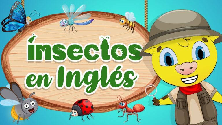 lista de insectos en inglés