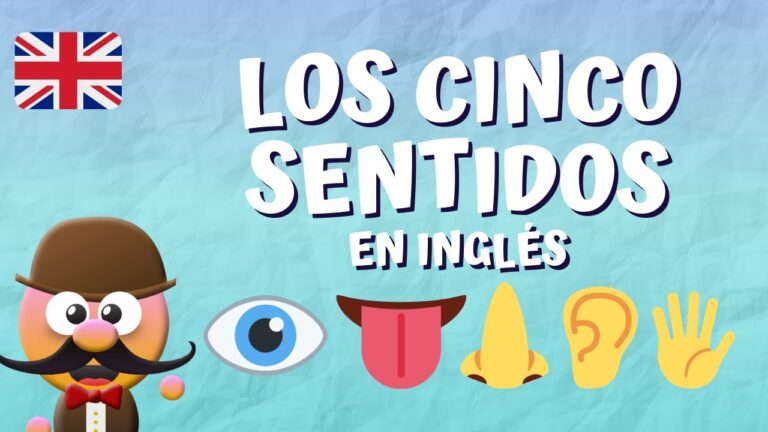 los cinco sentido en ingles